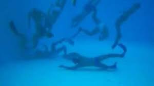 Image result for underwater rugby cali colombia 2015
