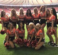 Check spelling or type a new query. Bc Felions Partnership 2018 News Events Fabutan