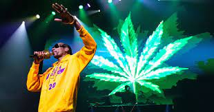 4 hours ago4 hours ago. The Best 4 20 Livestreams Snoop Dogg Willie Nelson More