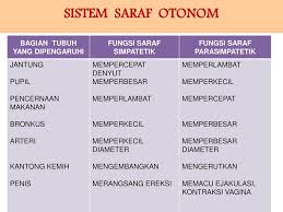 Alat ini juga sesuai digunakan di daerah pegunungan dimana tanahnya mempunyai kemiringan yang cukup besar, karena fungsi alat. Sistem Koordinasi S K 3 Menjelaskan Struktur Dan Fungsi Organ Manusia Dan Hewan Tertentu Kelainan Dan Atau Penyakit Yang Mungkin Terjadi Serta Implikasinya Ppt Download