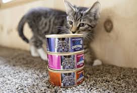 Read our review to find out why not to feed this mars brand to your dog. Blue Buffalo Cat Food Reviews Pros And Cons Pawsome Kitty