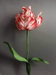 Miami sunset, golden gate, la belle epoque, apricot impression How To Make A Crepe Paper Semper Augustus Tulip The Paper Heart How To Make Paper Flowers Crepe Paper Felt Flower Tutorial