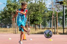 FIGC - News update