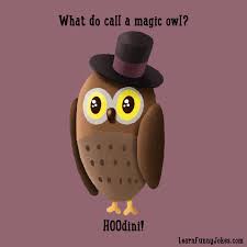What do call a magic owl? HOOdini! — Learn Funny Jokes