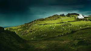 Google Best Of Ireland Ireland Landscape Visit Ireland