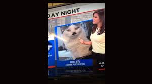 Find and save saturday night memes | from instagram, facebook, tumblr, twitter & more. Us Meteorologist Sorry For Showing Kitler A Hitleresque Cat On Air The Times Of Israel