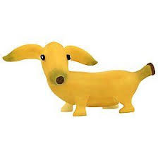 Banana dog and the giant flower basket. Banana Dachshund Figurine By Home Grown By Home Grown Http Www Amazon Com Dp B001thuquc Ref Cm Sw R Pi Dp Vlzasb0hbp0p5 Dachshund Weiner Dog Banana Toy