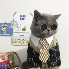 Mpk Magaza Kedi Oyuncak Kedi Kostum Klip Kravat Kediler Ve Kopekler Icin Kedi Yaka Collar For Cats Tie For Catcat Collar Aliexpress