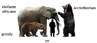 Comparing The Size Of An African Elephant And Grizzly Bear