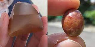 We did not find results for: Batu Gigi Petir Harga Dan Khasiatnya Top Lintas