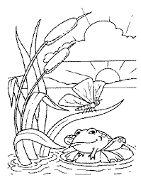 Frosch In Landschaft Ausmalbild Malvorlage Tiere
