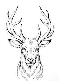 The book begins with introductory chapters on the special techniques of drawing animals, the use of line, establishing mood and feeling, conveying action, and brush techniques. Original Zeichnung Hirsch Minimalistische Zeichnung Tusche Hirsche Tuschezeichnung Deer Illustration Deer Drawing Animal Drawings