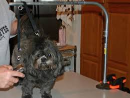Most grooming tables are quite easy and quick to set up and are therefore also suitable for mobile use. Diy Dog Grooming Table How To Build Your Own 4 Projects