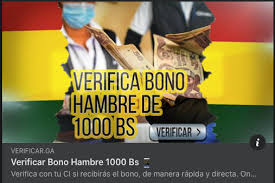 De acuerdo con el decreto supremo no. No Hay Ningun Link Para Saber Si Recibiras El Bono Contra El Hambre Bolivia Verifica