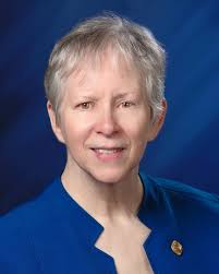 Lake County Council condemns Indiana House property tax plan