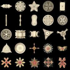 Art Forms From The Ocean The Radiolarian Atlas Of 1862 Pin On Zentangle