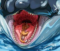 Is that to the north east? Whale Mawshot Furaffinity Artwork Gallery For Moonhoek Fur Affinity Dot Net Want To Discover Art Related To Furaffinity