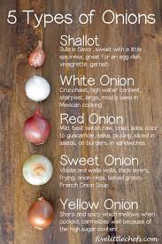 Here S A Fantastic Guide I Found To Show You How To Use The Different Types Of Onions You Can Find Correctly 3 3 Cooking Basics Types Of Onions Food Facts