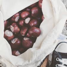 Preheat your oven to 425 degrees f. How To Use Horse Chestnuts Aka Conkers Not Edible Aka Buckeyes As An All Natural Laundry Detergent Wasteland Rebel