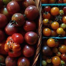 Lazy Cherry Tomato Salsa Cherry Tomato Salsa Cherry Tomato Recipes Cherry Tomatoes