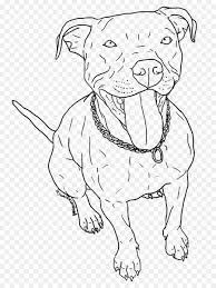 Previously in just this action by yourself will be sketching and drawing the chill. Pitbull Clipart Drawn Pitbull Drawn Transparent Free For Download On Webstockreview 2021