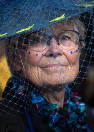 Bollocks to Brexit by Ray Knox