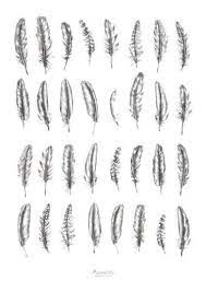 Feather Tattoo Options Feather Tattoo Feather Tattoos Tiny Tattoos