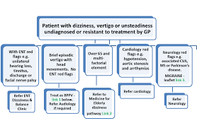 Image result for Vertigo Management