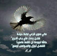 مَاليّ سوى قرعيّ لبابكَ حيلةٌ ‏فَلئِن رُددتُ فأيُّ بابٍ أقرَعُ ؟ Facebook