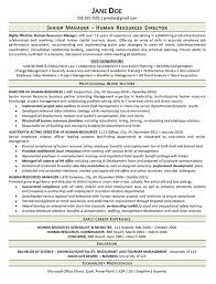 View Human Resources Manager Resume Example