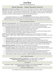 Cv example and samples for every job. View Human Resources Manager Resume Example