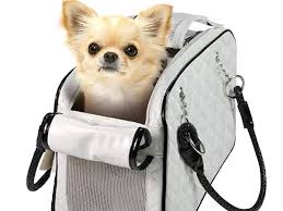 You'll be the envy of all other pet parents with this elegant cat carrier. The Best Dog Carrier Bag You Can Buy