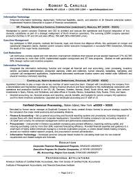 executive resume samples professional