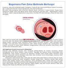 Makan lebih banyak makanan ini. Bathmate Bathmate Hercules Alat Pam Besar Dan Panjangkan Batang Zakar Lelaki Bathmate Di Kedaiubat2u Info Cara Besarkan Batang Zakar Dengan Bathmate Hercules Cara Panjangkan Batang Zakar Lelaki Dengan Bathmate Hercules