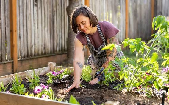 How to Create a Wildlife-Friendly Garden That Attracts Butterflies and Birds
