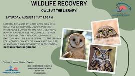 Wildlife Recovery: Owls at the Library!