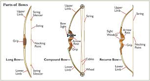 An individual might choose to use a stringer for simplicity. Archery And Bowhunting Basics Types Of Bows