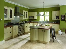 exciting lime green kitchen walls