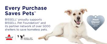 Bissell Powerclean Rewind Pet Vacuum 2494 Walmart Bissell Symphony Pet All In One Vacuum Steam Mop 1543