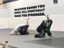 Pin By Rafael On B1 Brazilian Jiu Jitsu Jiu Jitsu Quotes Martial Arts Quotes Jiu Jitsu