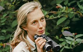 Remembering Jane Goodall's Legacy