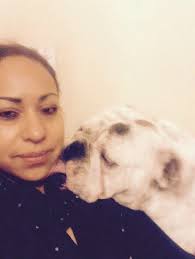 BullDog Inglés (@BulldogIngles2)