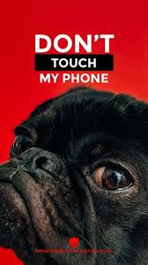 With a history that dates back two centuries, schumacher wallcovering is a testament to artistry, craftsmanship and impeccable style. Cute Don T Touch My Phone Dog Wallpapers Dont Touch My Phone
