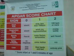 Societal Problems Apgar Score Chart