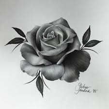 901 Likes 16 Comments R O S E T A T T O O S Rosetattoos On Instagram Incredible Realism Rose Art By Pedr Rose Tattoos Flower Sketches Rose Art