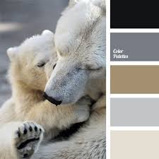 Pin On Color