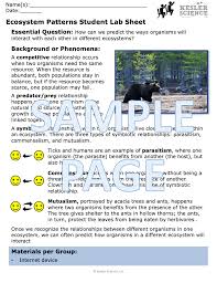 How to make a dichotomous key science project education com. What Relationship Is An Example Of Competition In An Ecosystem