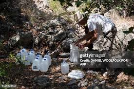 36 Paul Woolfolk Photos & High Res Pictures