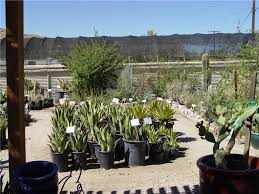 Call us to buy home distillery equipment from the best in the business. Landscape Cost Saving Money Landscaping Network