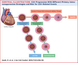 Image result for Sirolimus